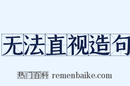 无法直视造句是什么意思的图片